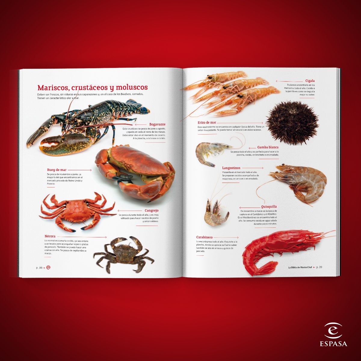 La Biblia de Masterchef. Las Recetas-2