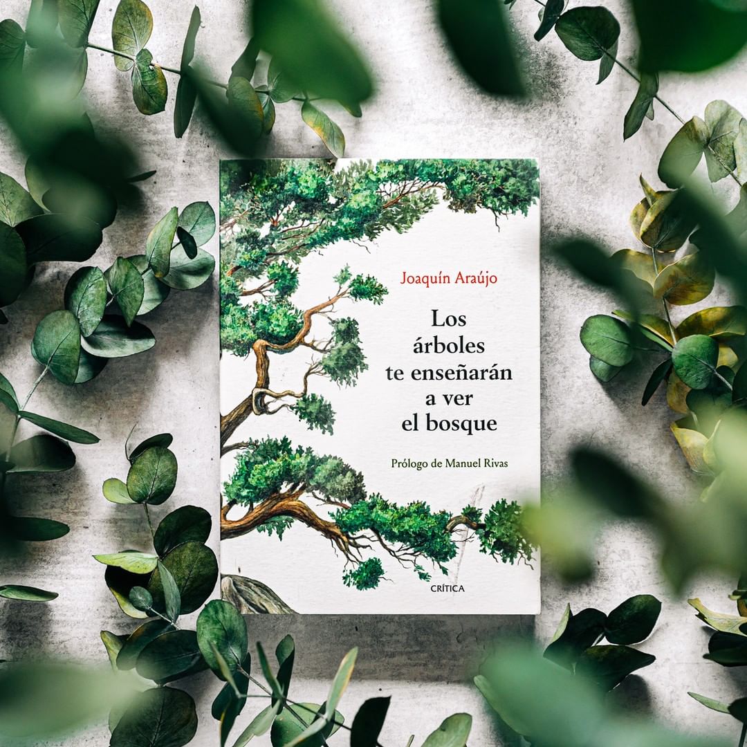 LOS ÁRBOLES TE ENSEÑARÁN A VER EL BOSQUE-2
