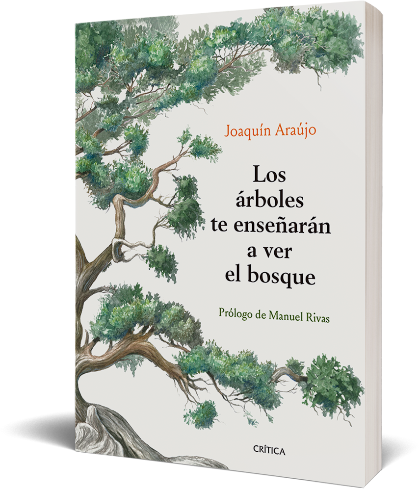 LOS ÁRBOLES TE ENSEÑARÁN A VER EL BOSQUE-1