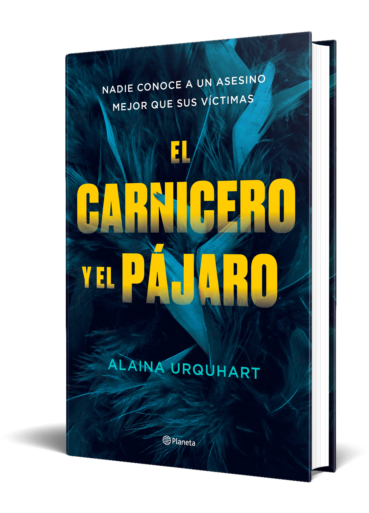 El Carnicero y el Pájaro-1
