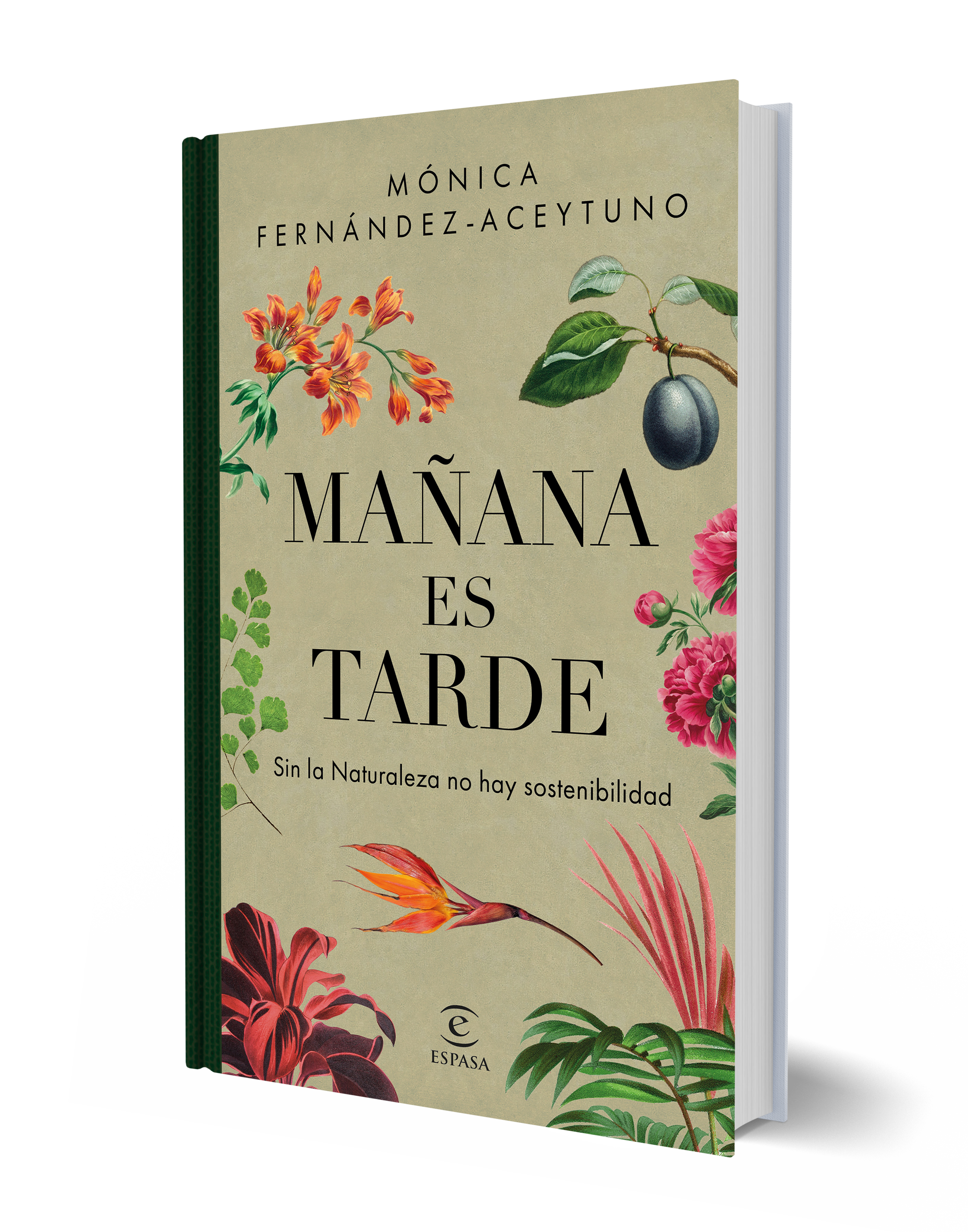 Mañana Es Tarde-1