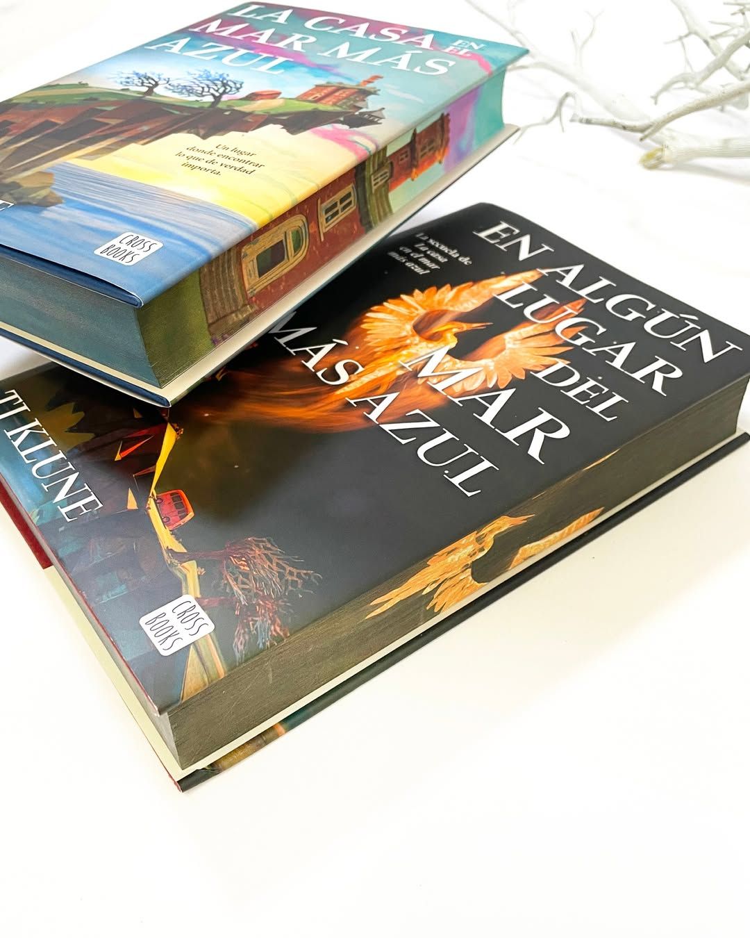 La Casa en el Mar Más Azul. Edición Especial-3