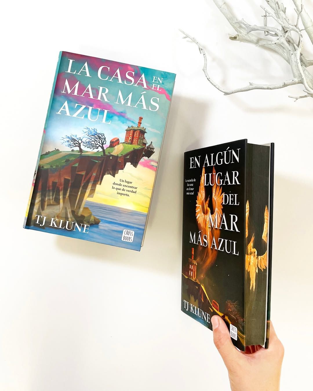 La Casa en el Mar Más Azul. Edición Especial-2