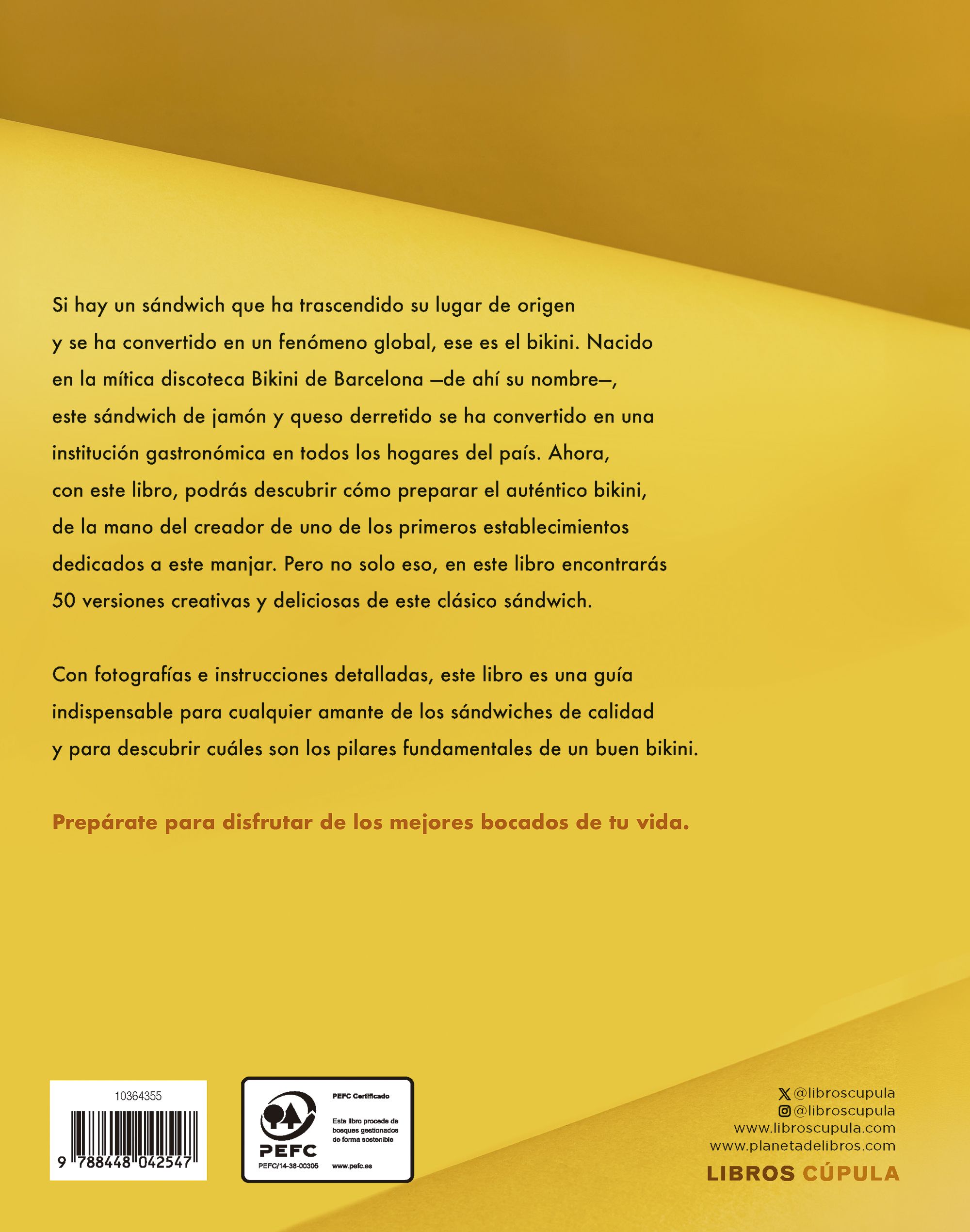 Bikinis Creativos-1