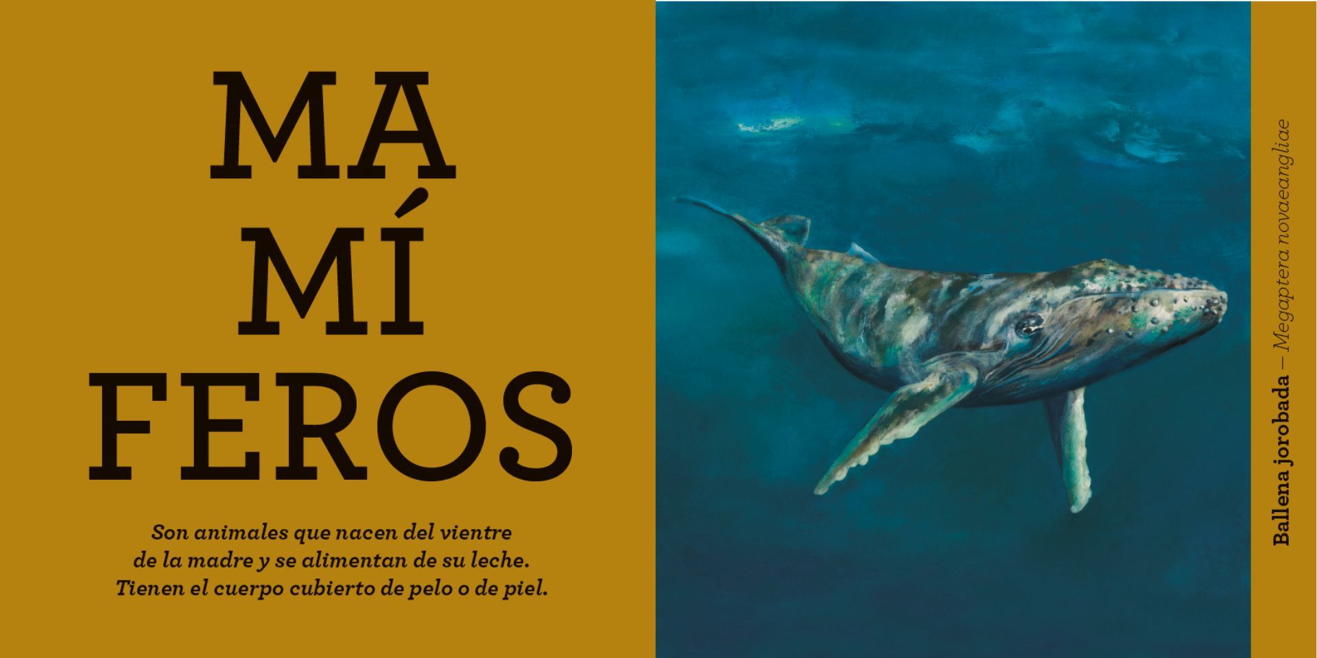 Animales-2