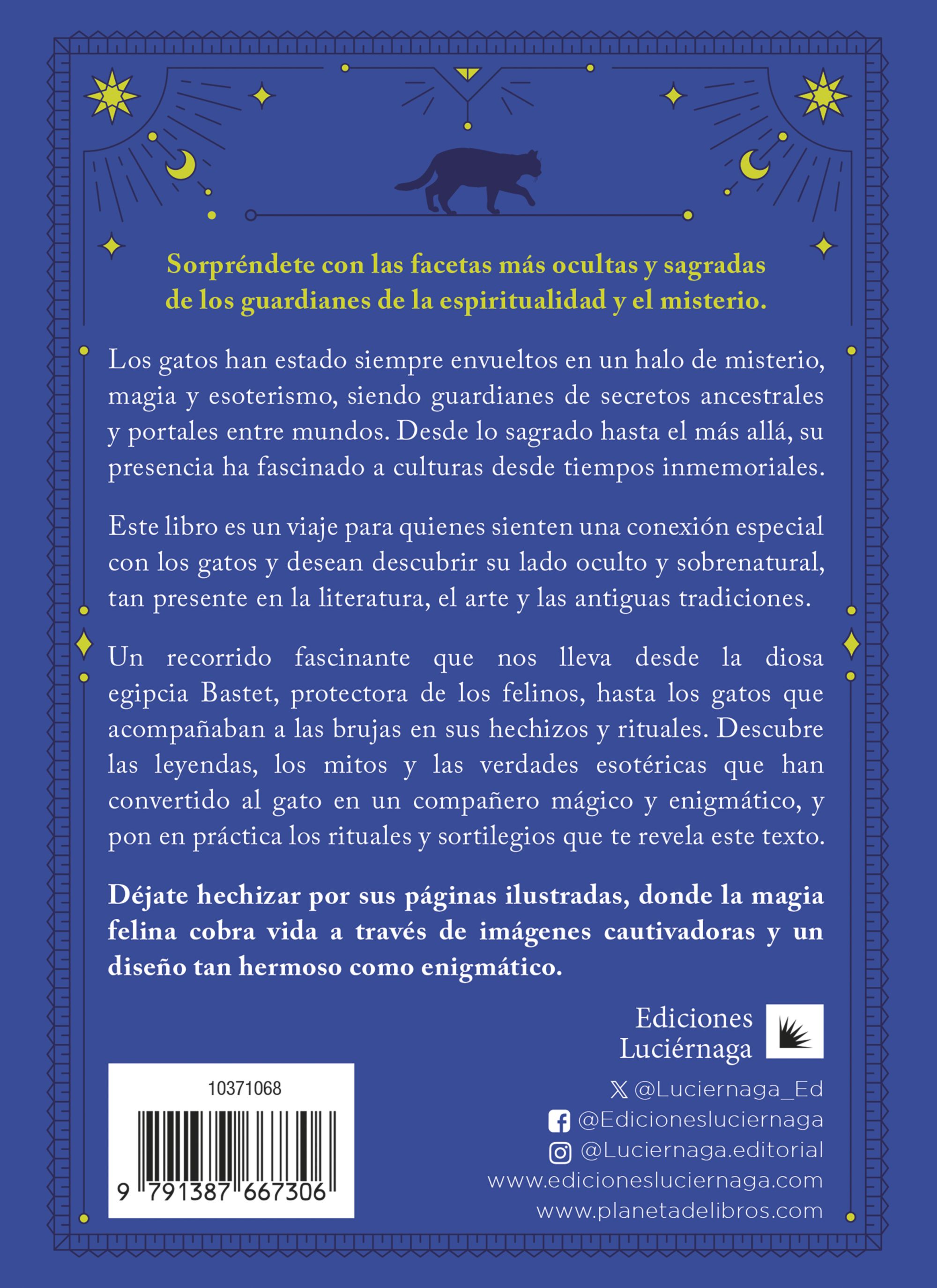 Los Gatos y el Más Allá-1