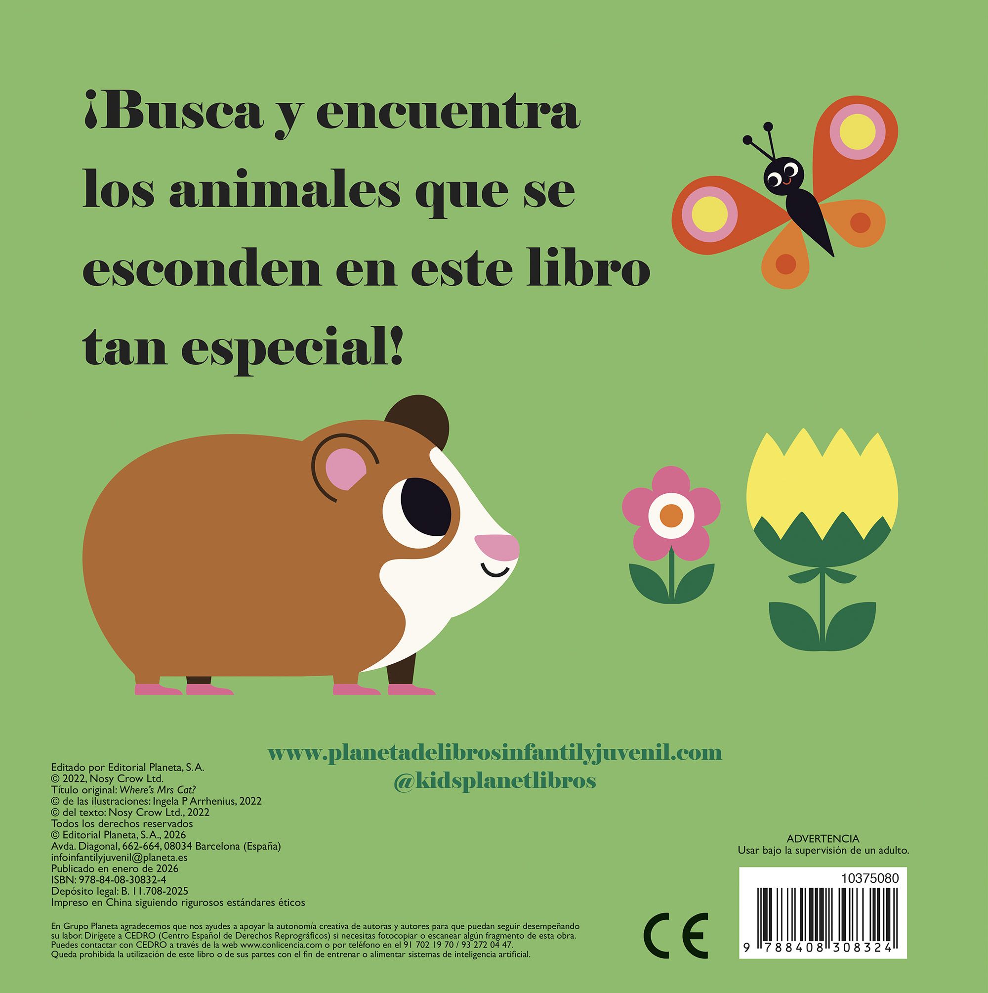 ¿DÓNDE ESTÁ LA SEÑORA GATITA?-1