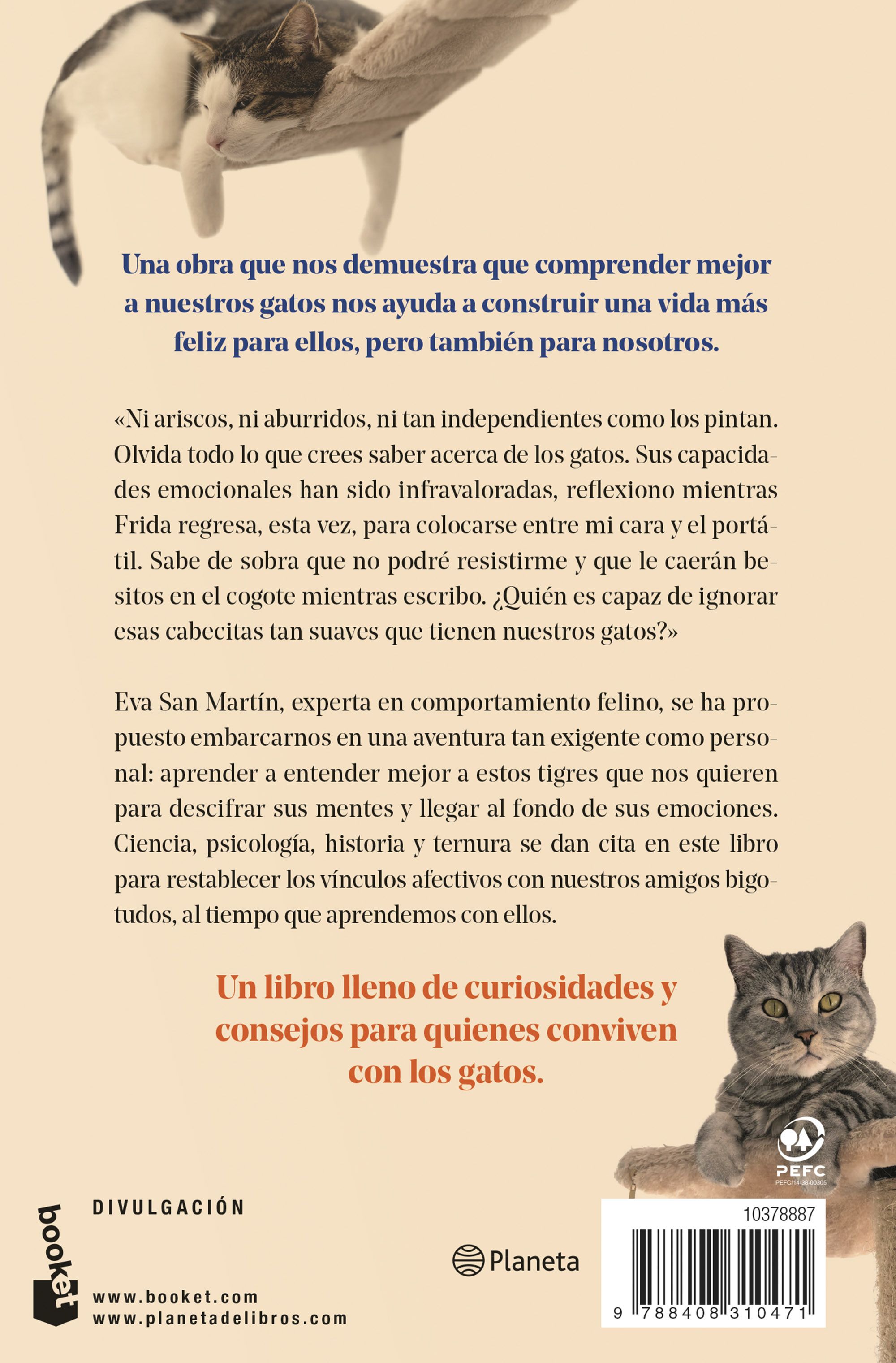 Al Gato lo que Es del Gato-1