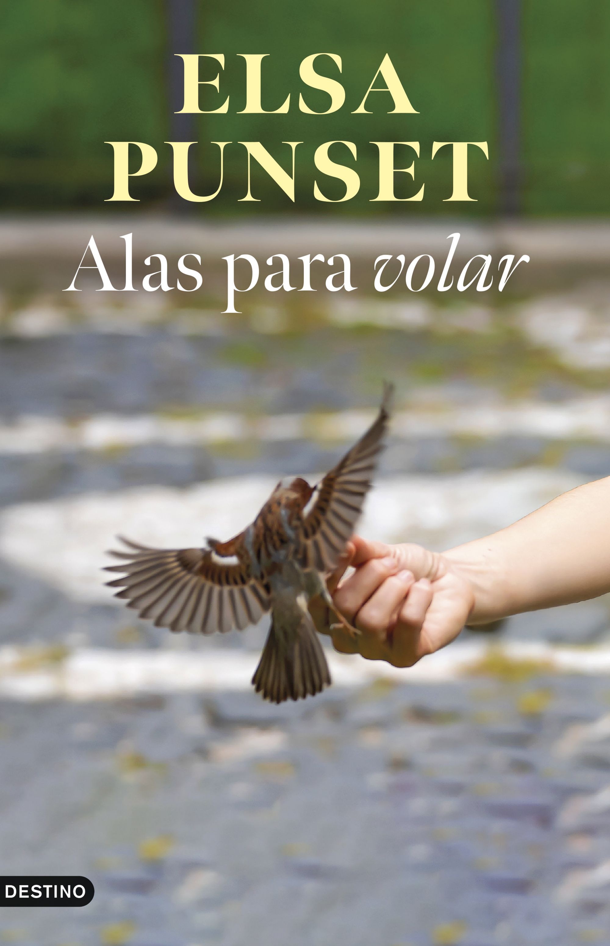 Alas para volar (Edición especial firmada)